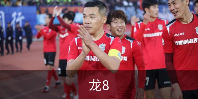 龙8品牌故事